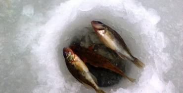 Hvor du skal bore hull under vinterfiske og hvordan du ser etter fisk om vinteren