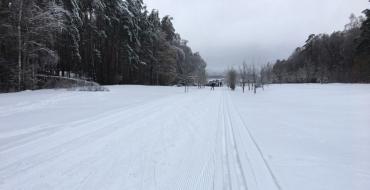 Moskva skiløyper: fordeler, ulemper, snødekte steiner